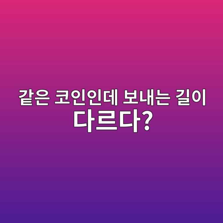 같은 코인인데 거래소마다 지원하는 입출금 네트워크가 다른 이유 2 eab099ec9d80 ecbd94ec9db8ec9db8eb8db0 ebb3b4eb82b4eb8a94 eab8b8ec9db4 eb8ba4eba5b4eb8ba4 1787339333