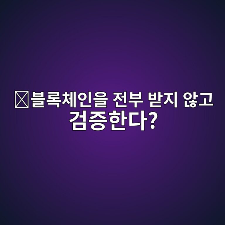 라이트 클라이언트(Light Client)란? 전체 블록체인을 저장하지 않고 거래를 검증하는 원리 3 ebb894eba19decb2b4ec9db8ec9d84 eca084ebb680 ebb09beca780 ec958aeab3a0 eab280eca69ded959ceb8ba4 1786626843